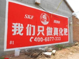  南漳刷墙广告”蕴含了时代命题