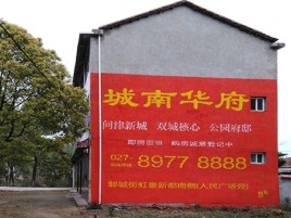  南漳百分之90的人都不了解的农村墙体广告