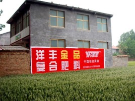  南漳如何让墙体广告展现最大化效果