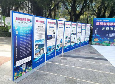  南漳KT板的种类和知识。